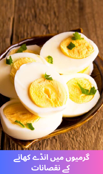 The Downsides of Eating Eggs in Summer